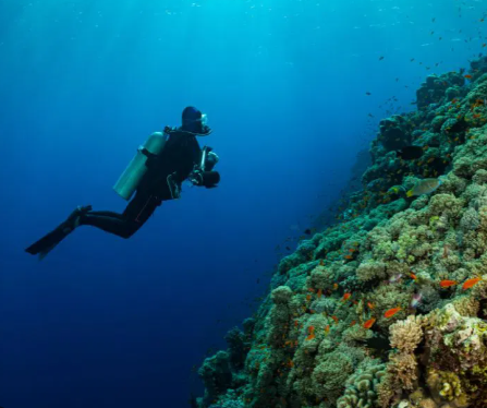 Dive Package Banner Image